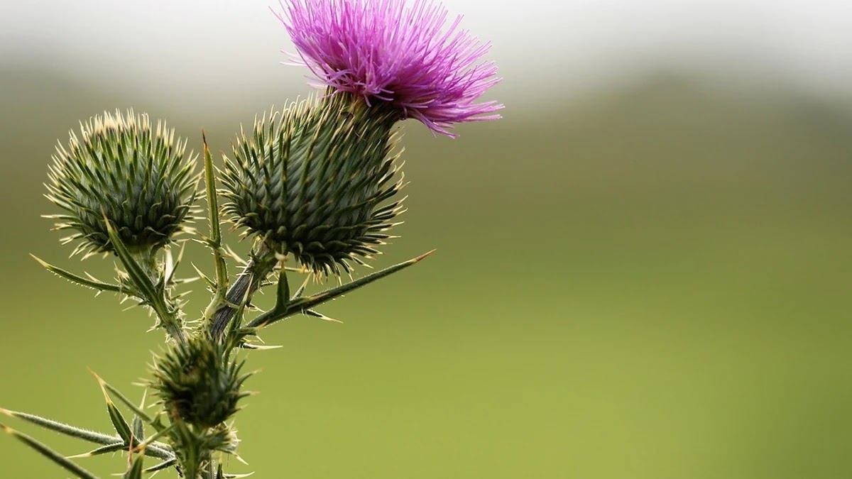 멤버십 할인 방법별 비교와 소비 패턴별 추천 전략