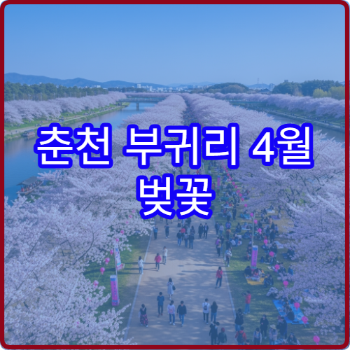 춘천 부귀리 4월 벚꽃 평일 점심시간 방문 최적 루트 정리