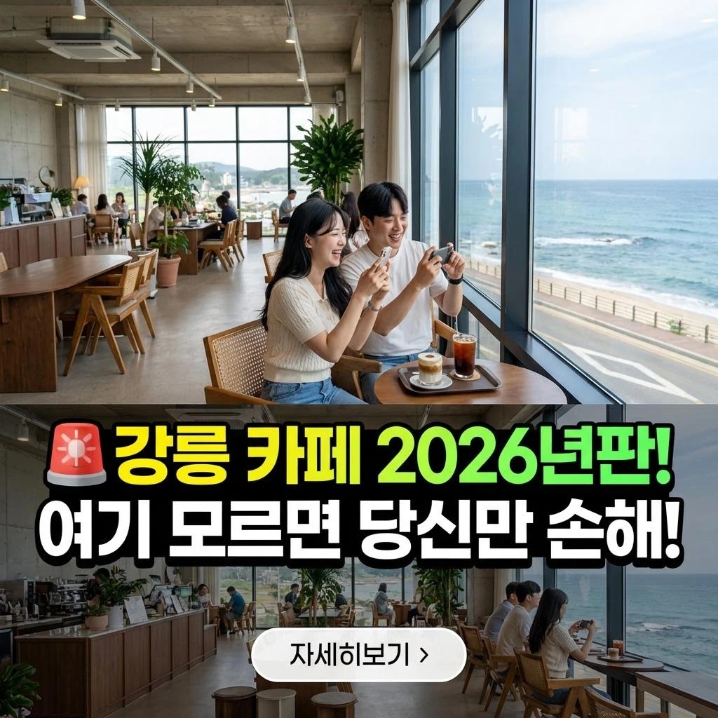 2026 강릉 가족 카페: 아이와 행복한 추억 7곳