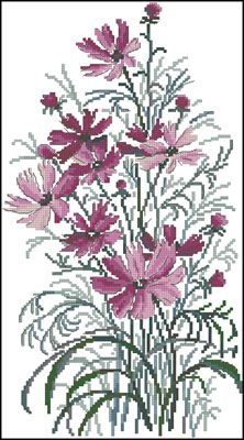 CMP 171656 Pattern