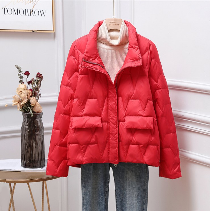 Kurze Daunenjacke für Damen mit Stehkragen