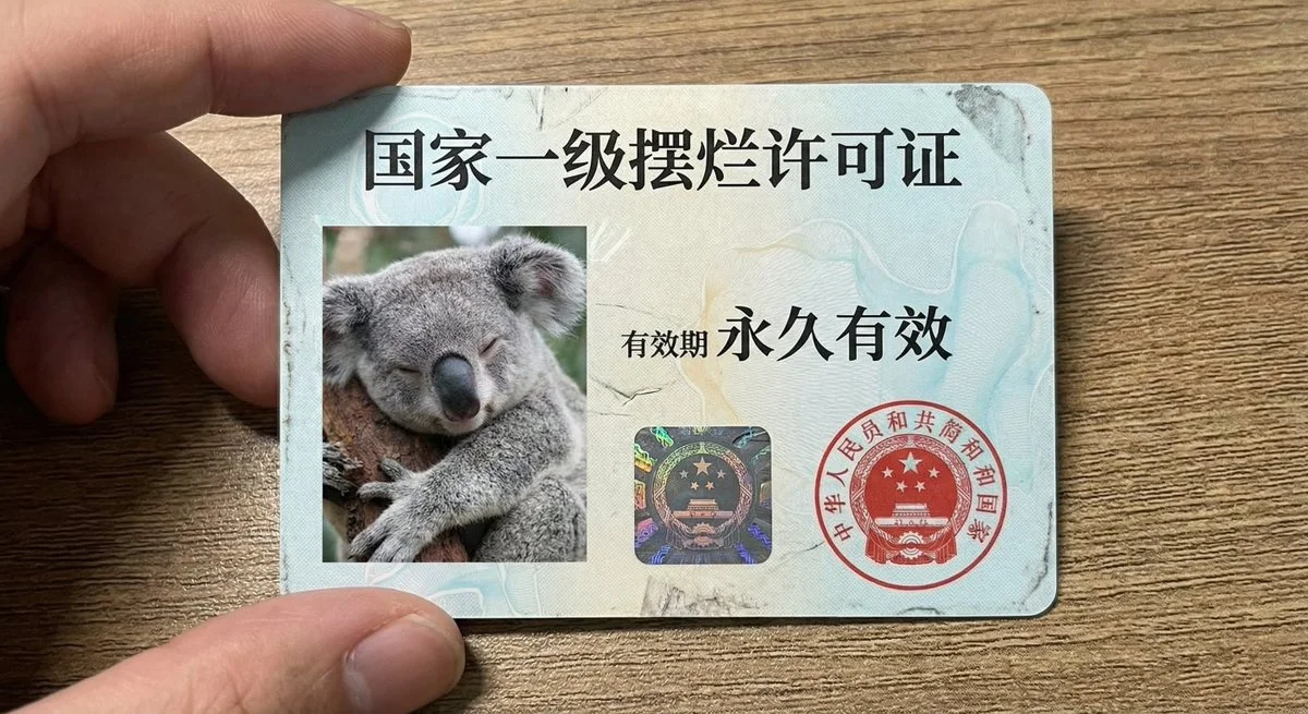 Tarjeta de identificación nacional de primera clase Slack许可证, Primer plano de la tarjeta de identificación de koala