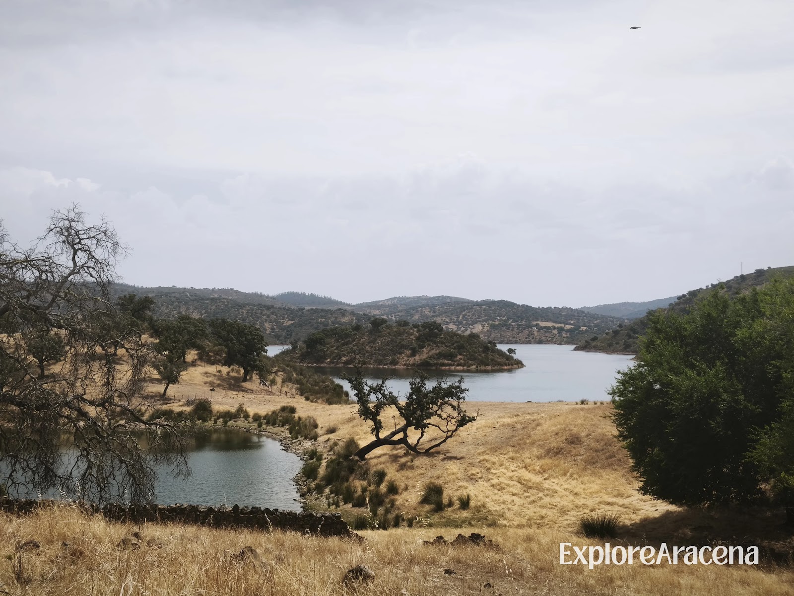 Water and surrounding hills at the Embalse de Zufre, with small islands rising above the reservoir’s surface.