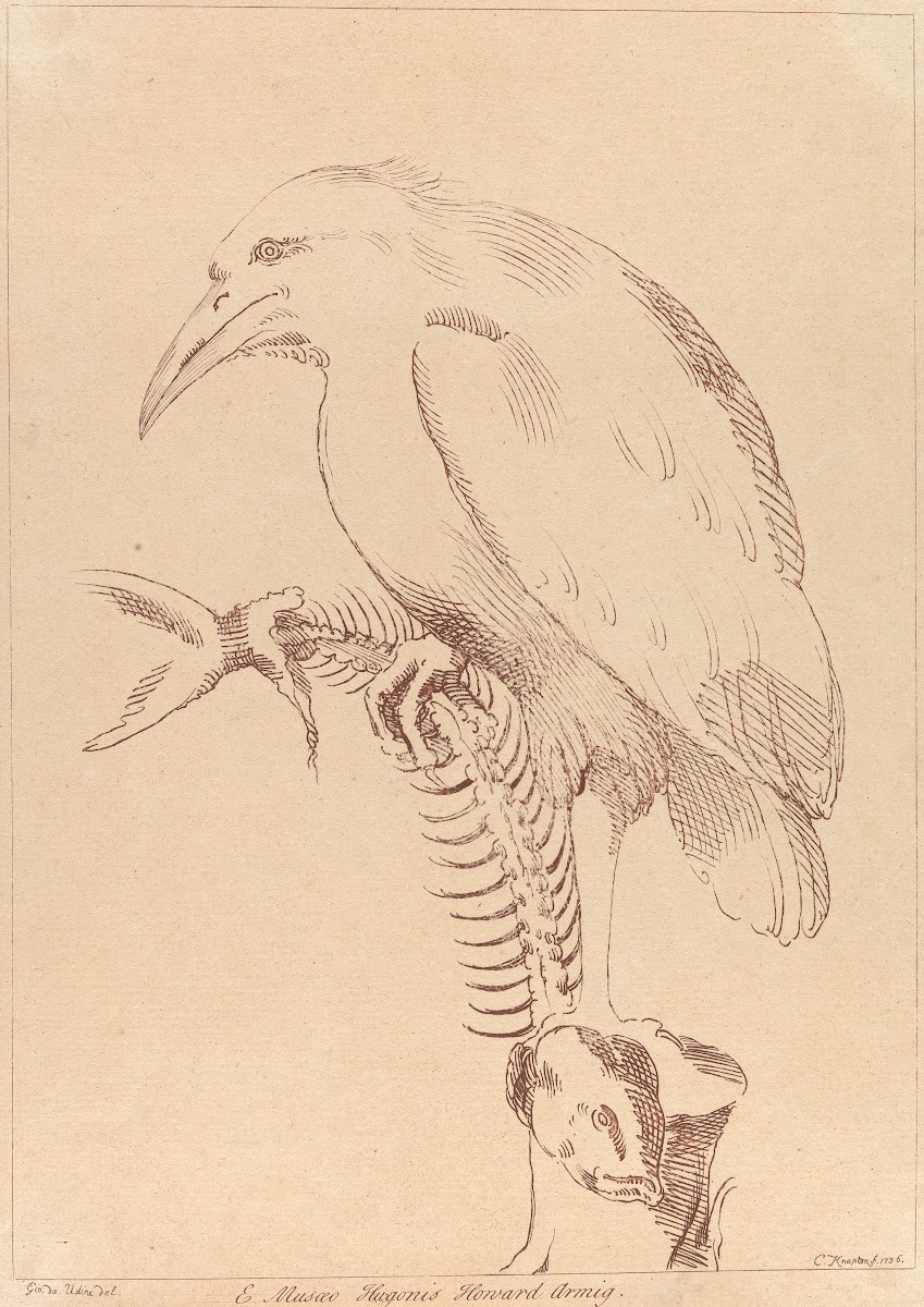 Bird holding fish skeleton 1740
