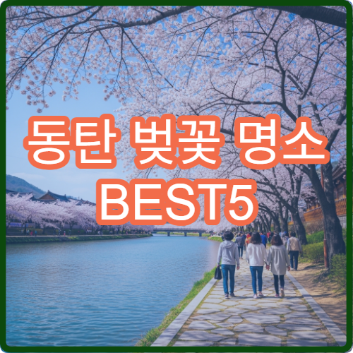 동탄 벚꽃 명소 BEST5 실제 다녀온 후기 (+사람 적은 시간 공개)