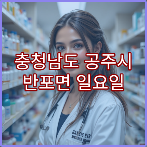 충청남도 공주시 반포면 일요일 당번약국 영업시간 및 위치 정보