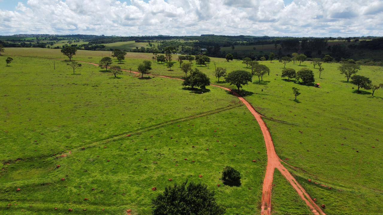 Fazenda no Município de Urutaí - GO 6