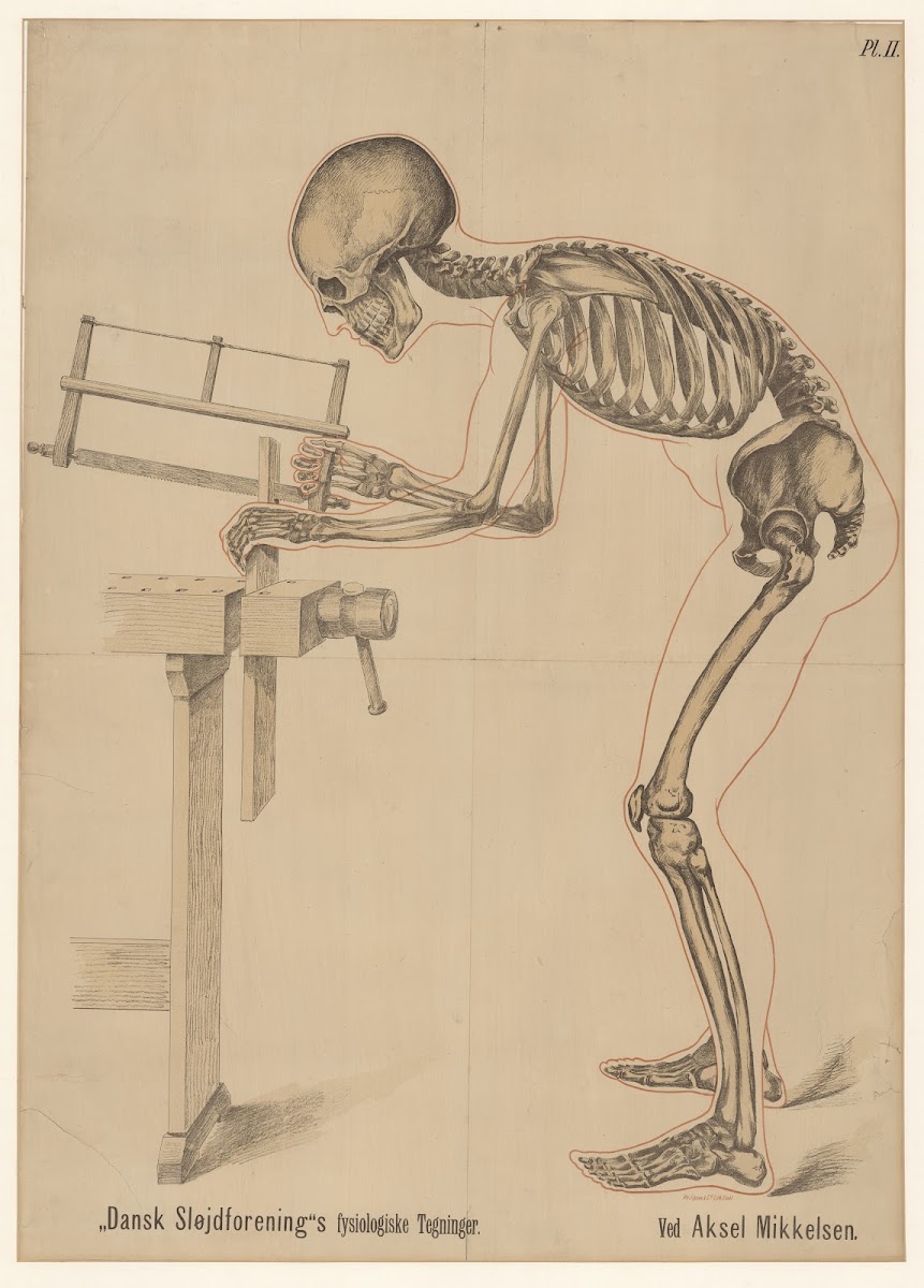 Danish Sloyd Associations physiological drawings  Table 2 1889