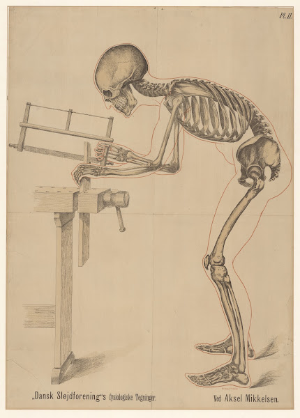 Danish Sloyd Associations physiological drawings  Table 2 1889
