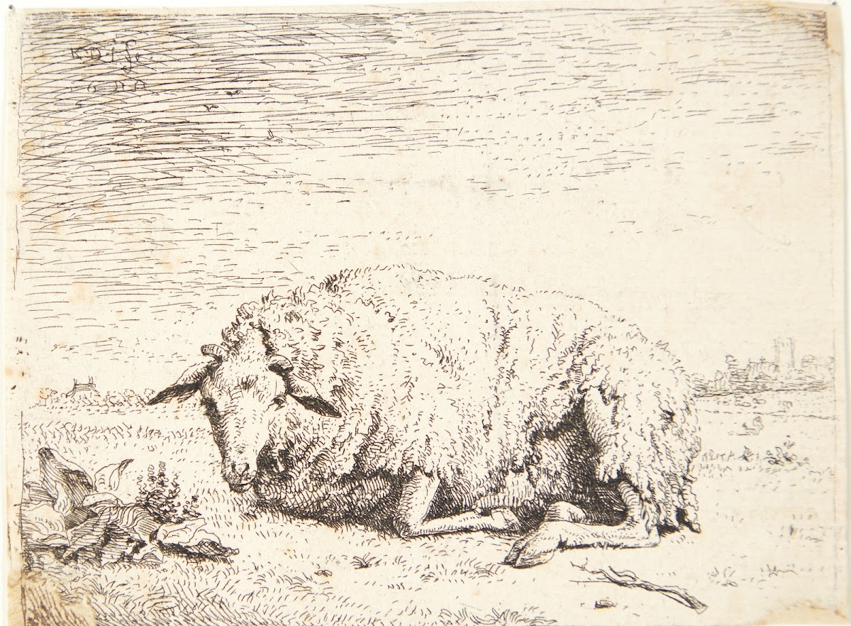 Liggende får 1655