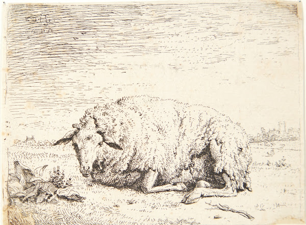 Liggende får 1655
