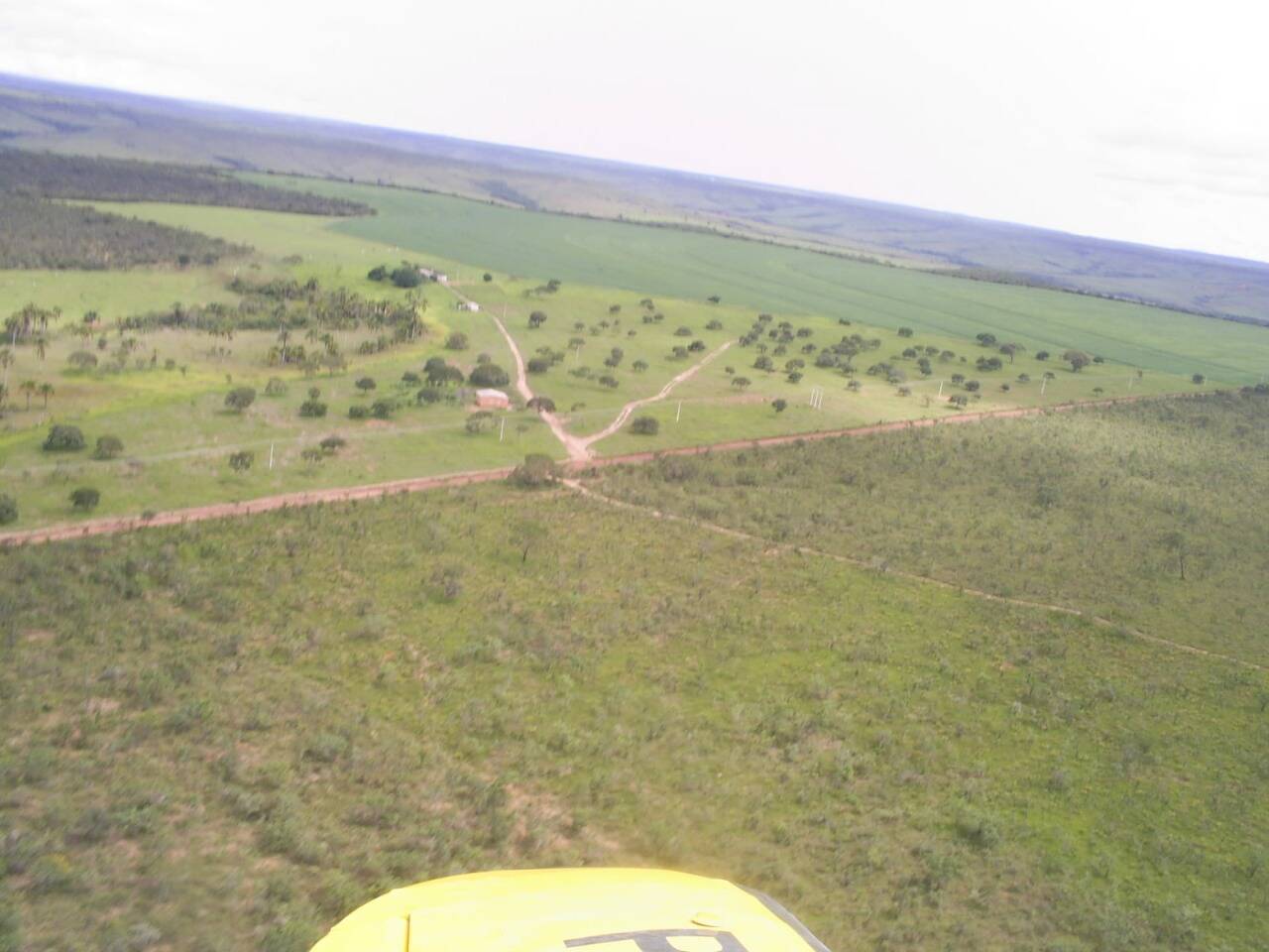 Fazenda em Buritis-MG 7