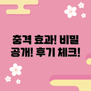 다슈쿠션 효과, 다슈쿠션 추천, 왜 다슈쿠션이 좋은가, 다슈쿠션 사용 후기, 다슈쿠션 숨겨진 비밀