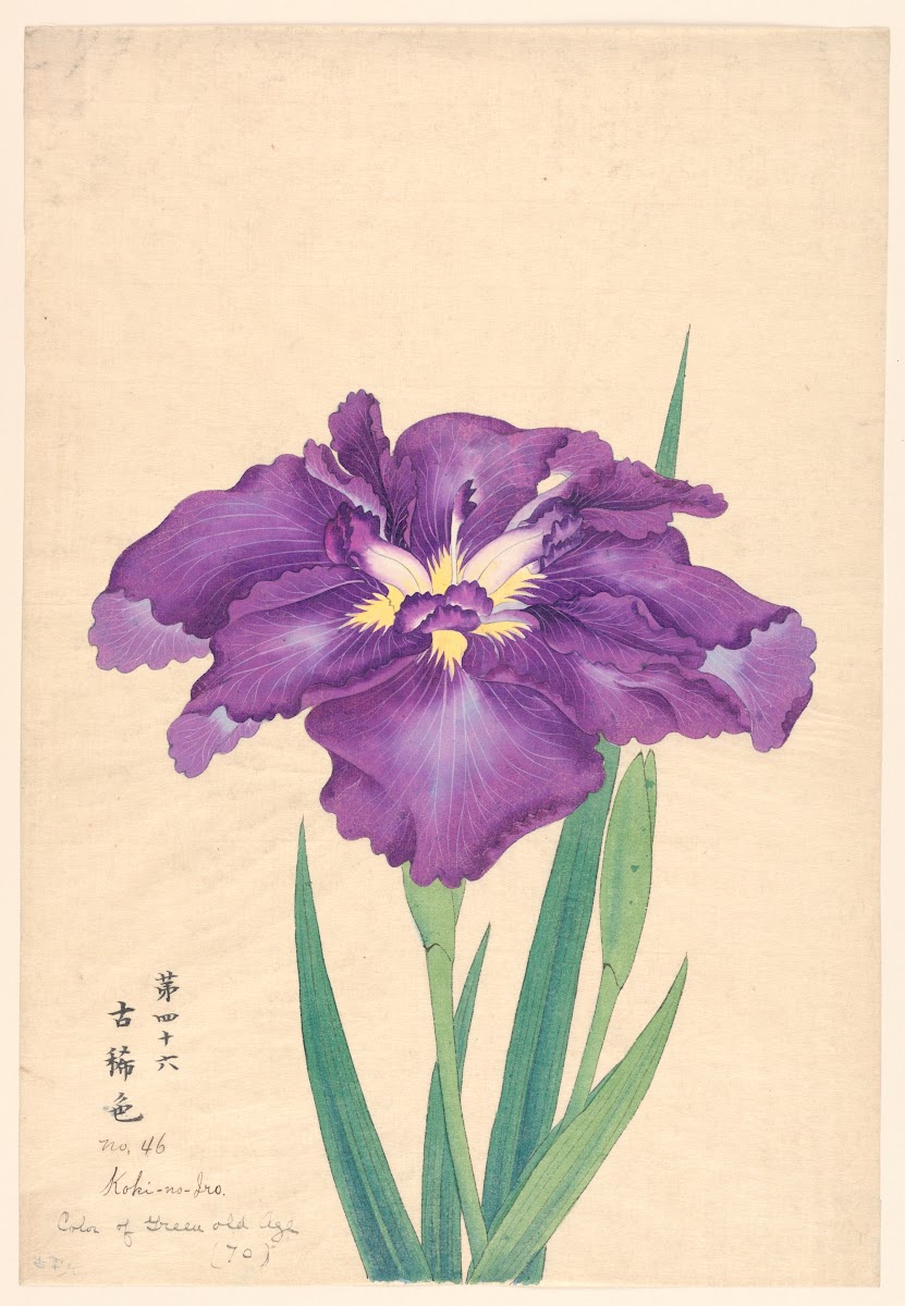 Color of Green Old Age Koki no Iro 1910