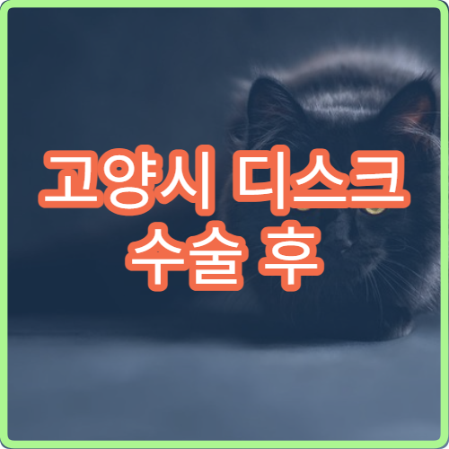 고양시 디스크 수술 후 빠른 재활 치료를 받을 수 있는 병원 TOP 3