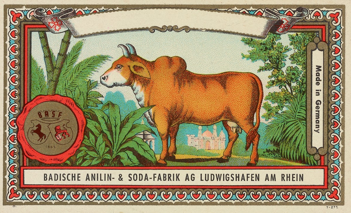 Badische Anilin  Soda Fabrik dye label with cow Circa 1900