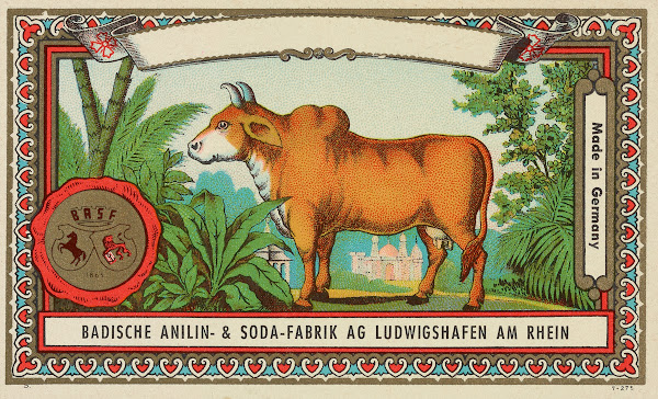Badische Anilin  Soda Fabrik dye label with cow Circa 1900