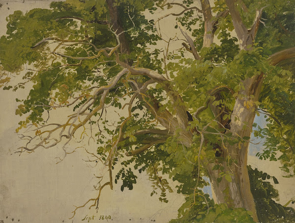 Treetop 1840
