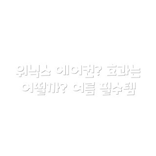 위닉스 인버터 에어컨, 창문형 에어컨, EWIE067-MWK, 환급가전, 방문 설치