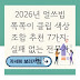 2026년 얼쓰빕 쪽쪽이 클립 색상 조합 추천 7가지: 실패 없는 전문가 팁!