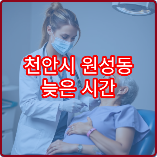 천안시 원성동 늦은 시간 산부인과 야간진료 가능한 병원