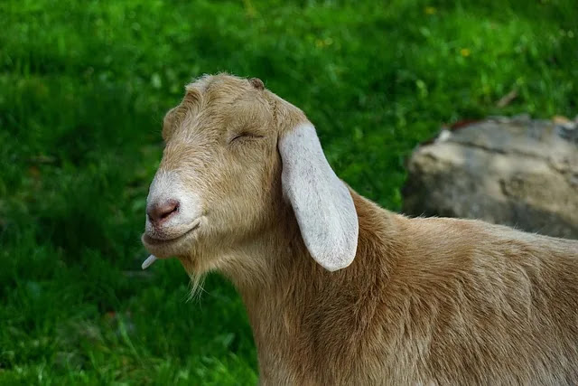 봄철에 유독 피곤해지는 이유와 생활 루틴 관리법