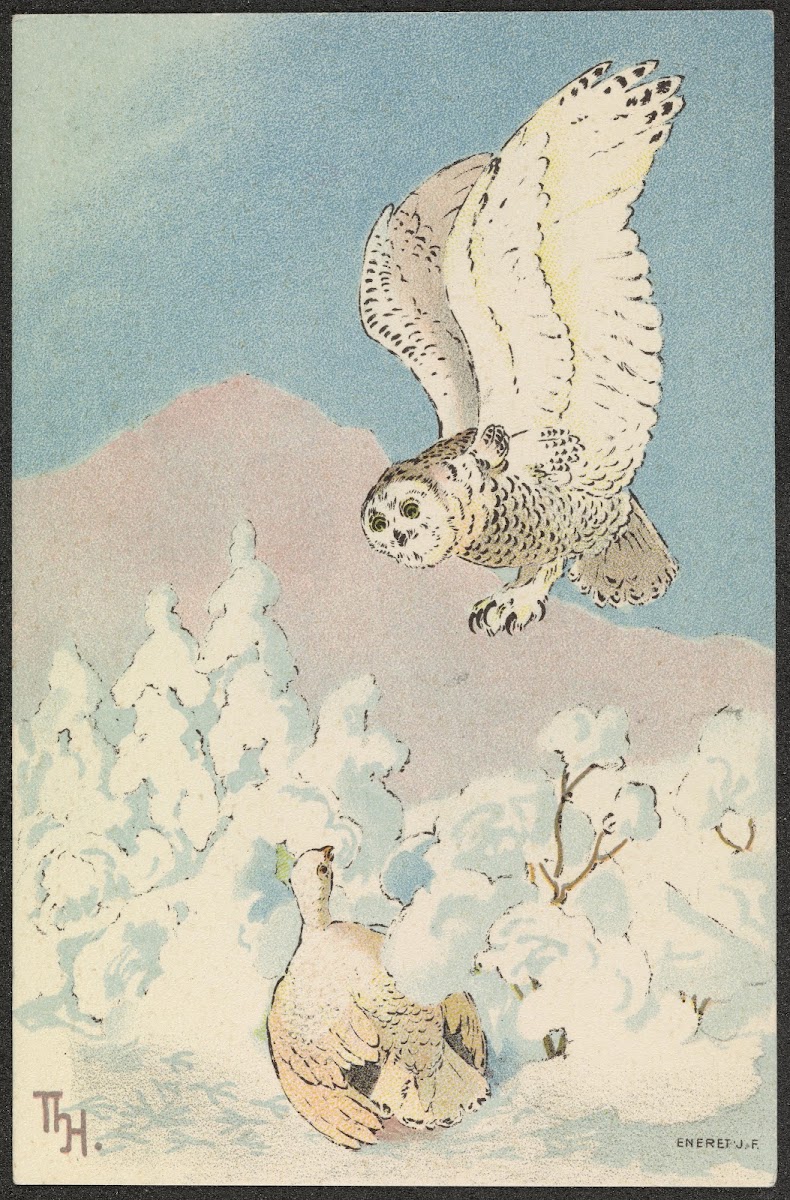 Winter motif with birds