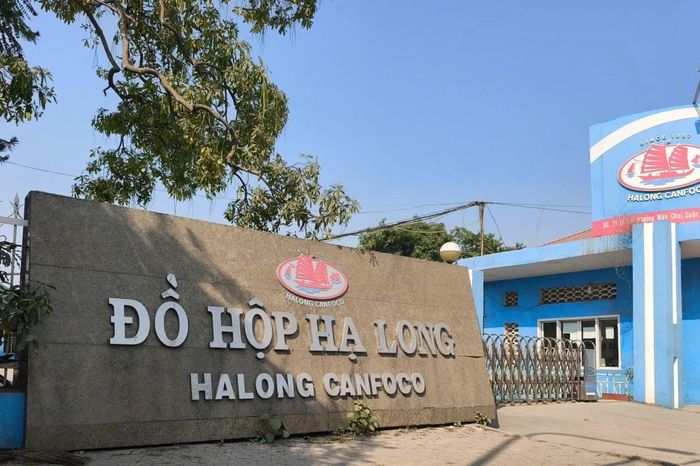 Đồ hộp Hạ Long lỗ quý I/2026 gấp 10 lần cùng kỳ - Đài Phát thanh và truyền hình Hà Nội