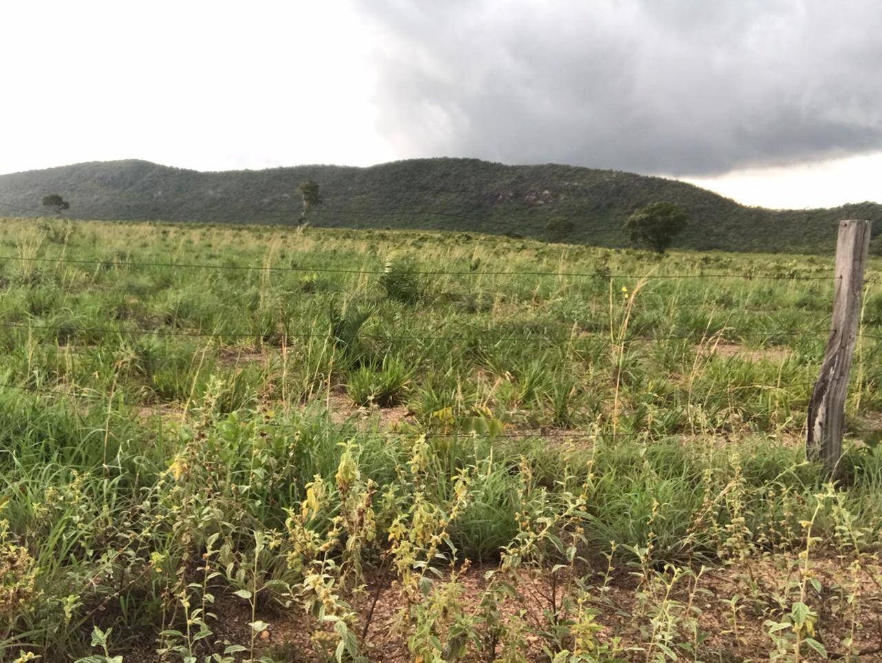 Fazenda em Jaú do Tocantins - TO 10