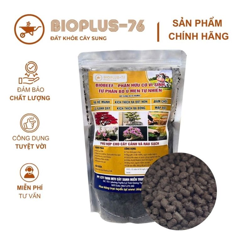 Phan Huu Co Vi Sinh Biobeef 1