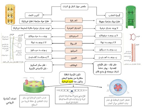 ملخص بعض دروس المادة - أحياء الصف 9 الفصل 2