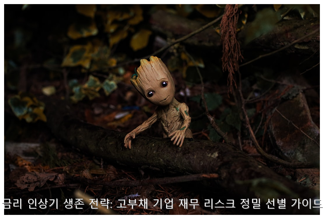 금리 인상기 생존 전략: 고부채 기업 재무 리스크 정밀 선별 가이드 핵심 안내 및 분석 인포그래픽 (4)