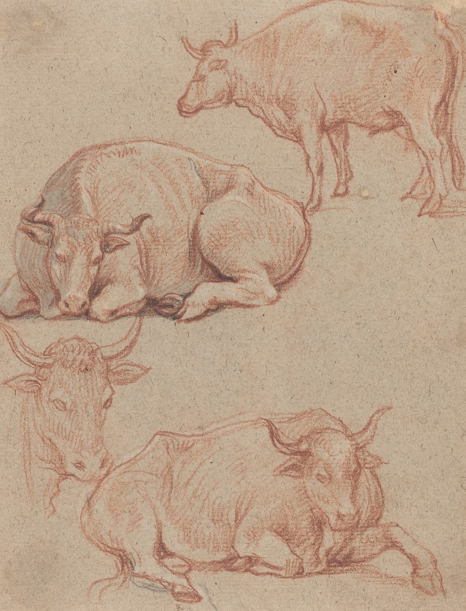 Four Cows