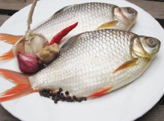 Cá diếc làm sạch, bỏ nội tạng.
