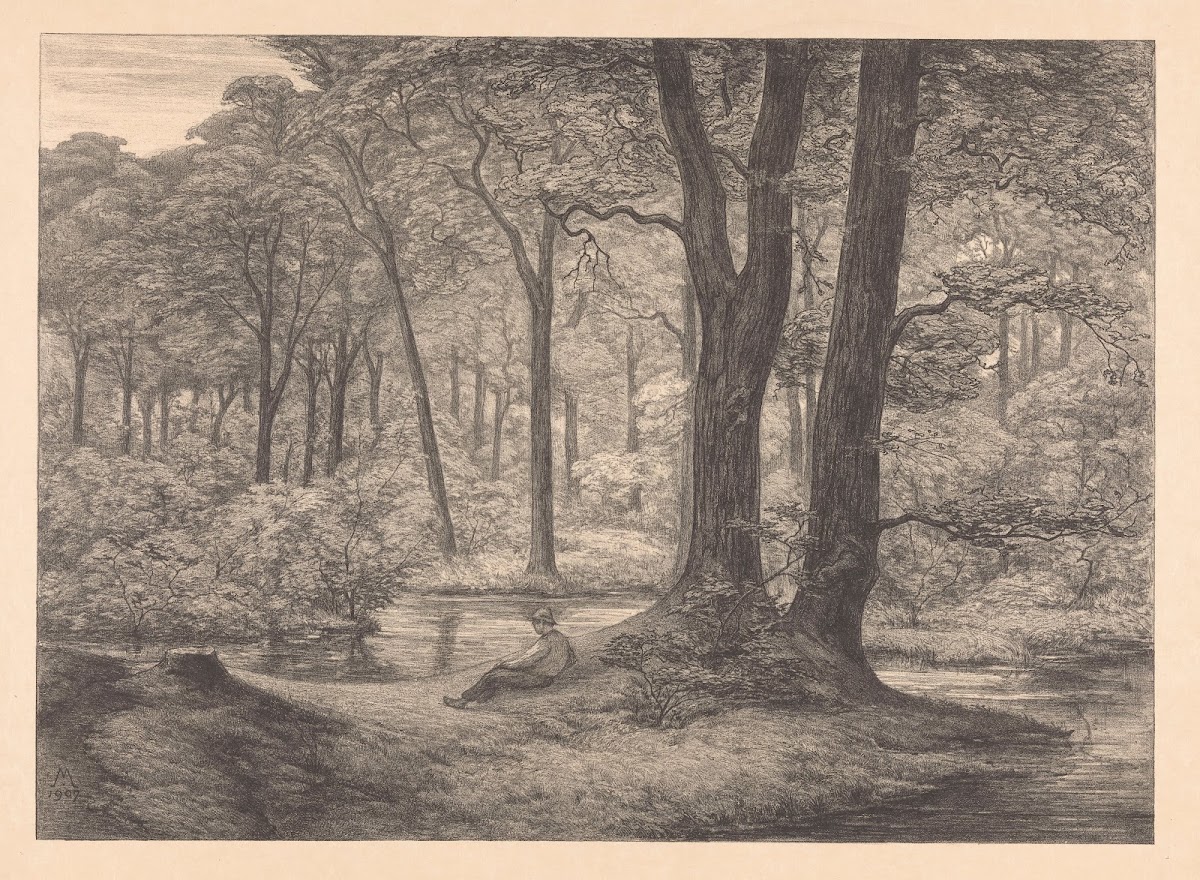 Gezicht op de Hunnenschans op de Veluwe De hunnenschans 1907