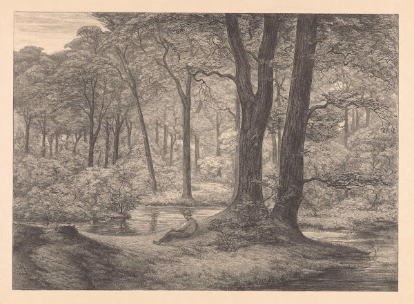 Gezicht op de Hunnenschans op de Veluwe De hunnenschans 1907