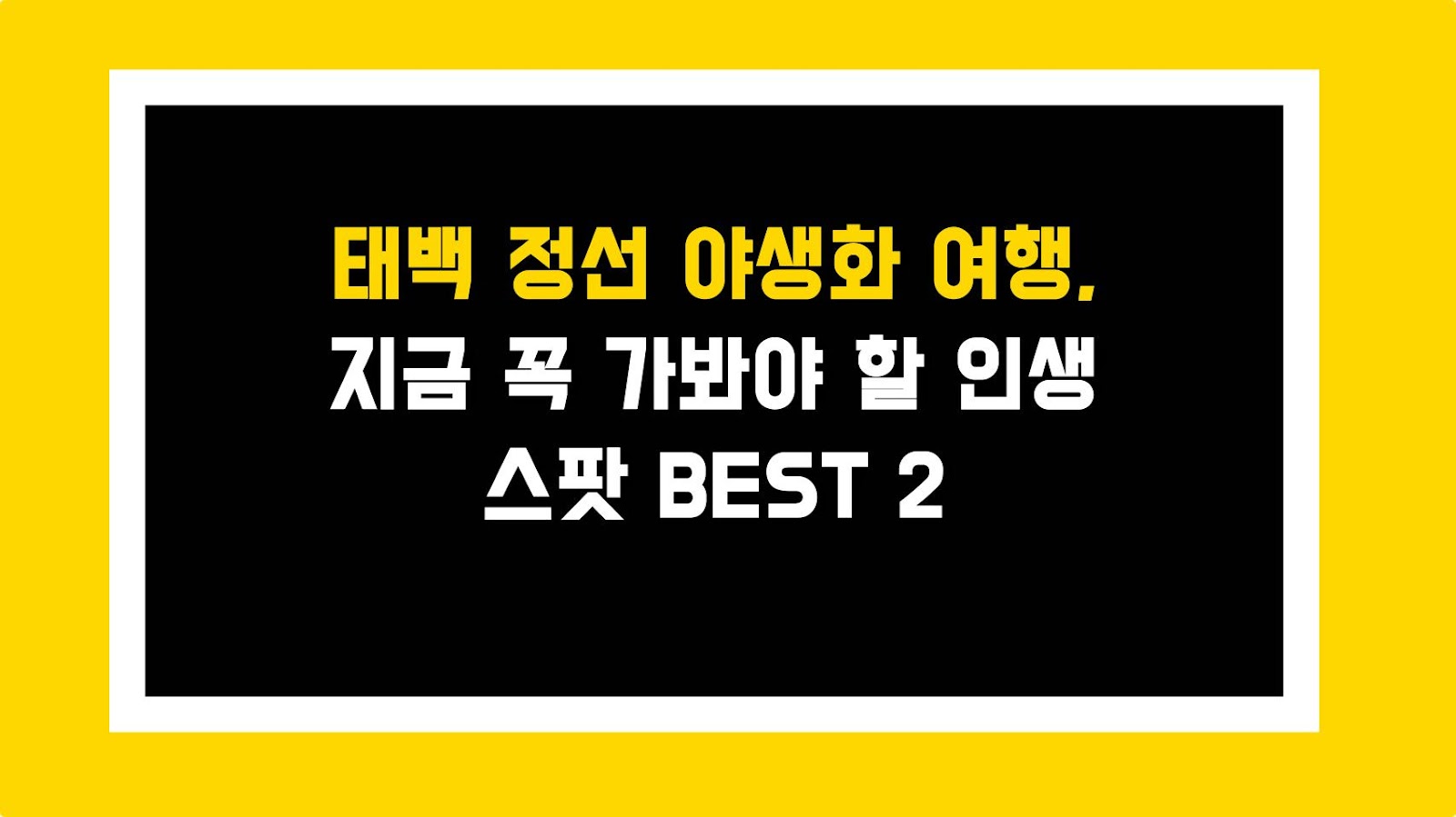 태백 정선 야생화 여행, 지금 꼭 가봐야 할 인생 스팟 BEST 2