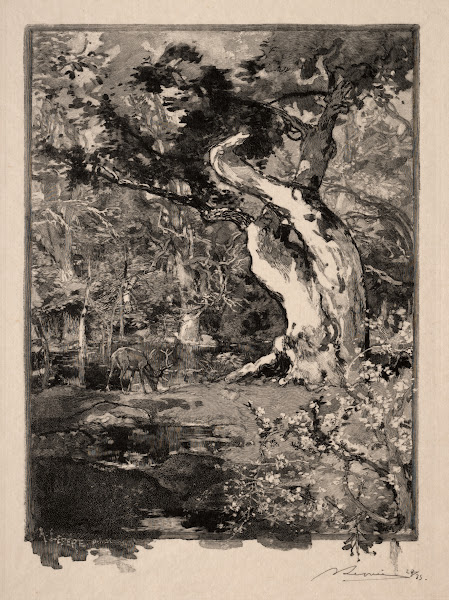 Le Clovis Plateau de Bellecroix 1890