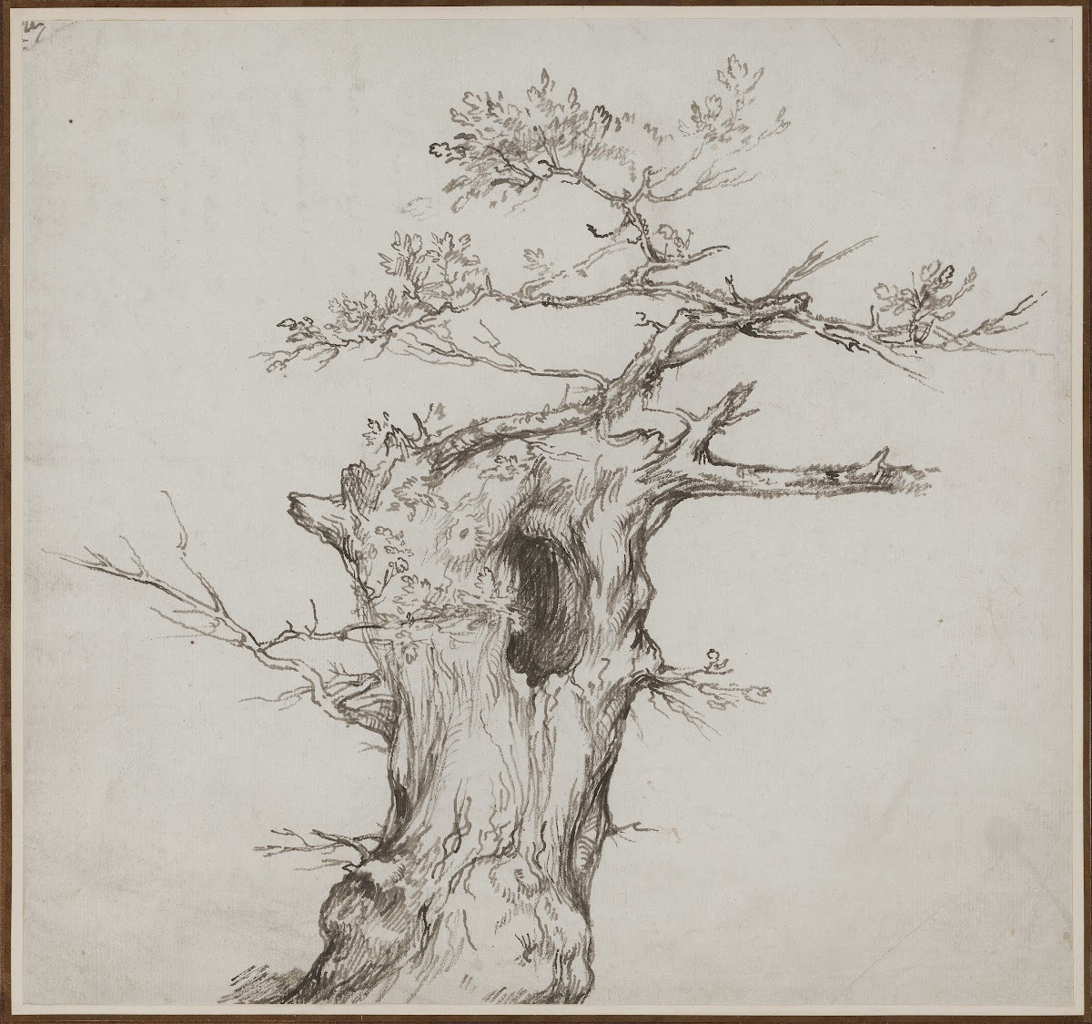A Blasted Tree c 1785