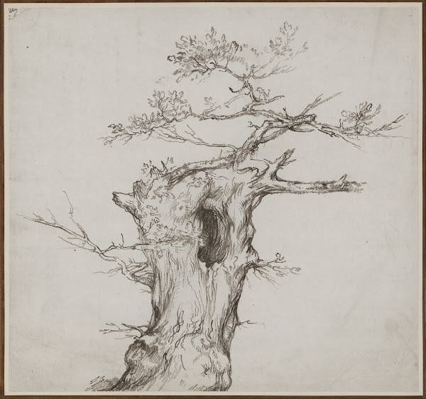 A Blasted Tree c 1785