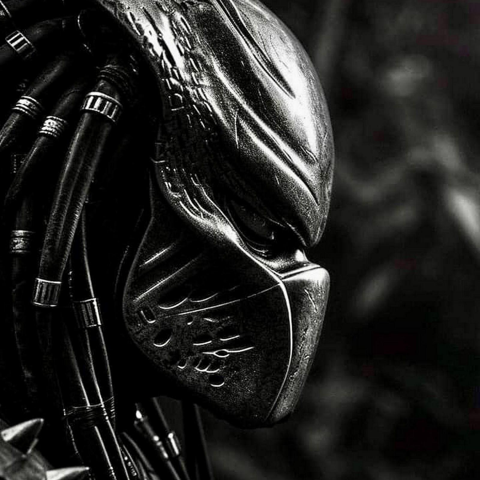 Download Predator, Science Fiction, Movie, Alien iPhone