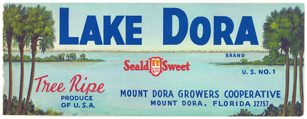 Lake Dora Brand Citrus Label 1930 1950