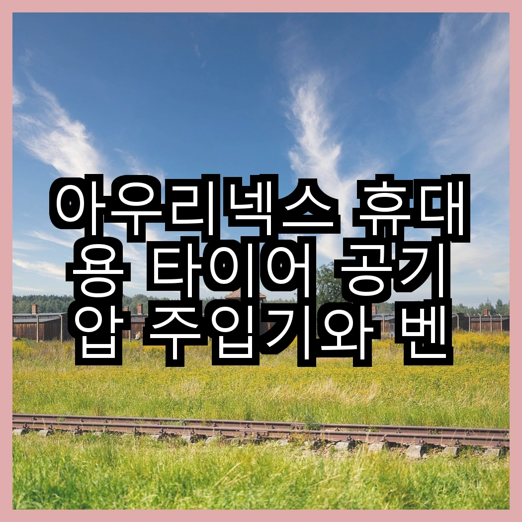 아우리넥스 휴대용 타이어 공기압 주입기와 벤딕트 무선 주입기, 어떤 차이가 있을까? 썸네일