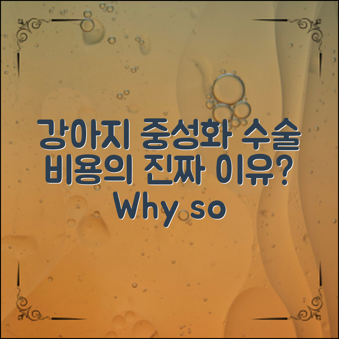강아지 중성화 수술 비용: 이 비용의 진짜 이유는?