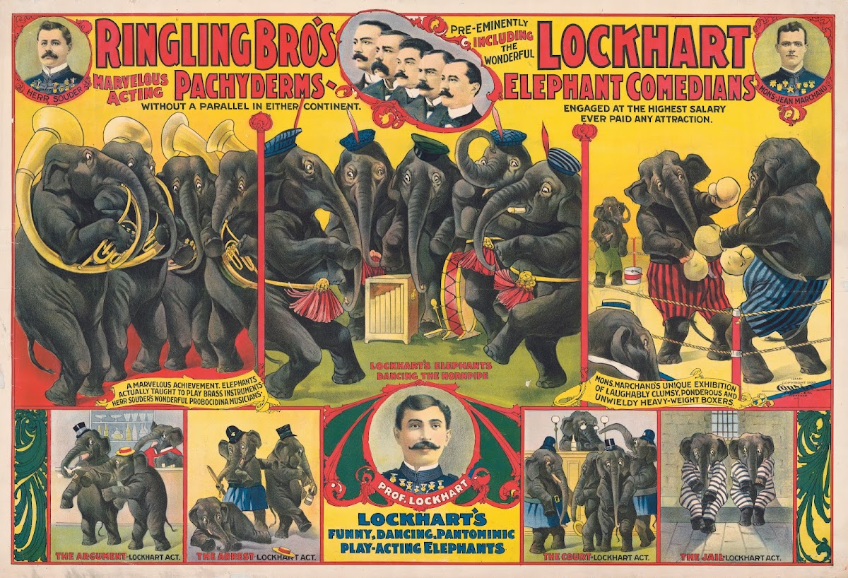 Ringling Bros marvelous acting Pachyderms  Lockhart elephant comedians  1899