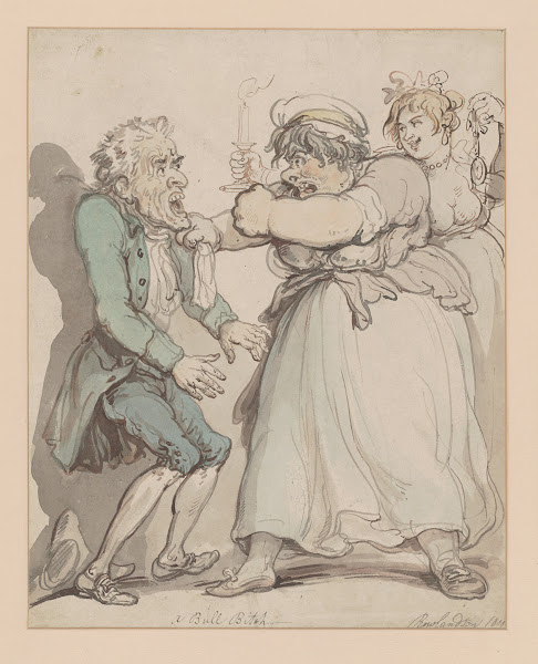 A bull bitch 1800