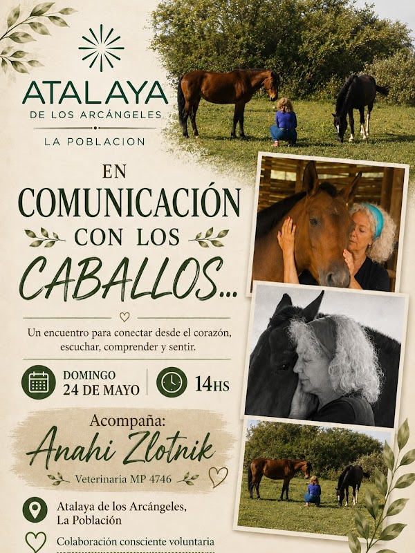 En comunicación con los caballos