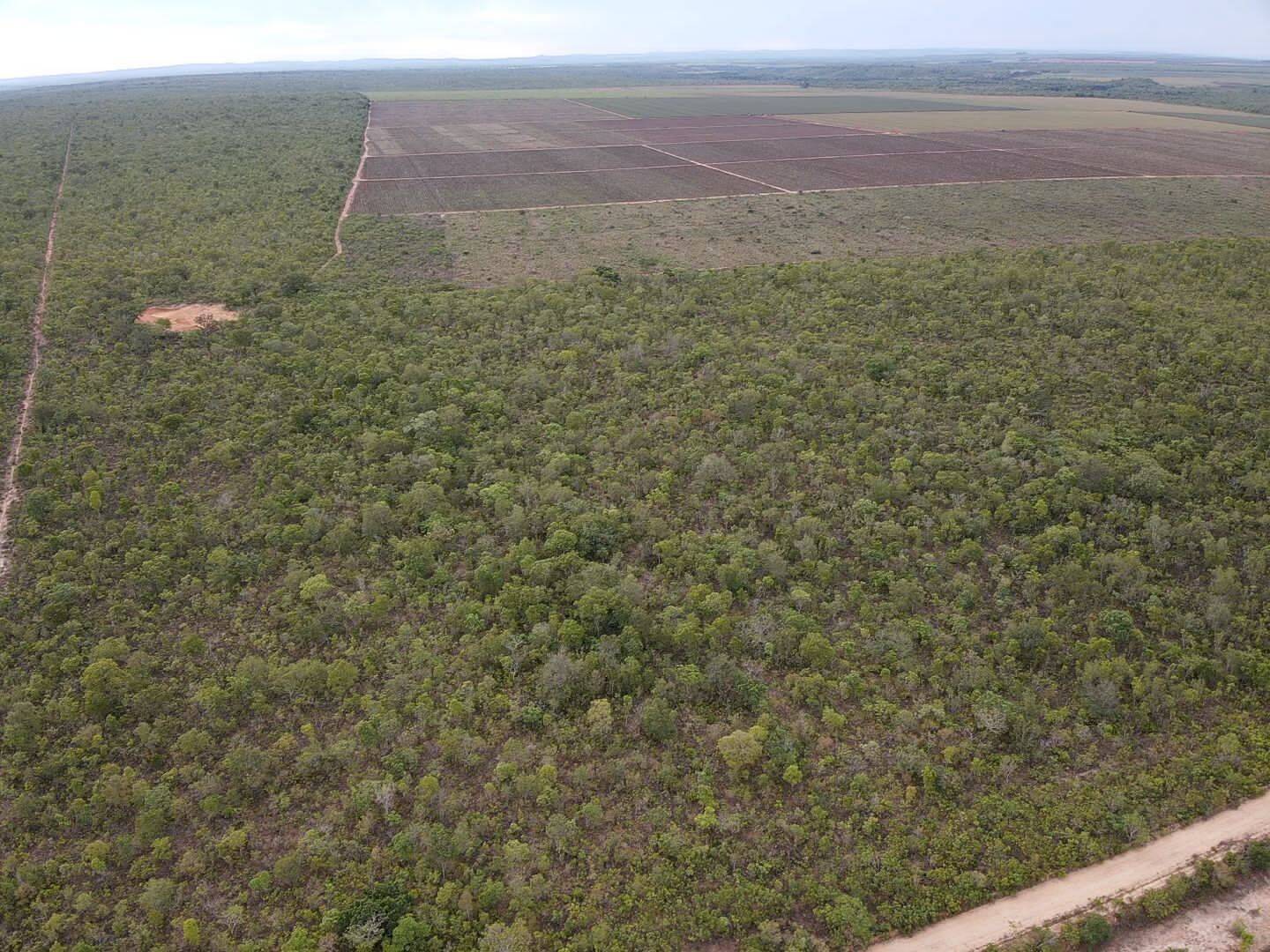 Fazenda em Miracema - TO 4
