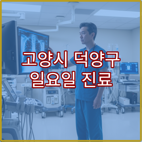 고양시 덕양구 일요일 진료 정신건강의학과 병원 불안·우울 상담 가능