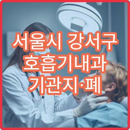 서울시 강서구 호흡기내과 기관지·폐 질환 전문 진료 호흡기 치료 병원